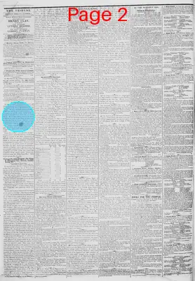 Page thumbnail for New York Daily Tribune