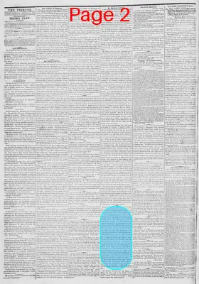 Page thumbnail for New York Daily Tribune