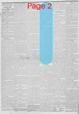 Page thumbnail for New York Daily Tribune