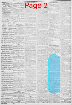 Page thumbnail for New York Daily Tribune
