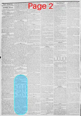 Page thumbnail for New York Daily Tribune