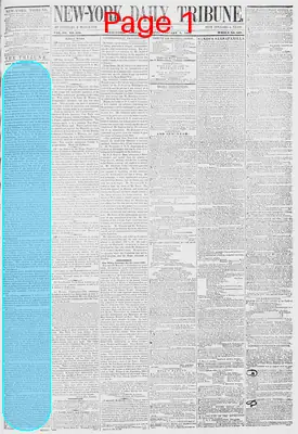 Page thumbnail for New York Daily Tribune