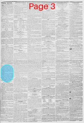 Page thumbnail for New York Daily Tribune