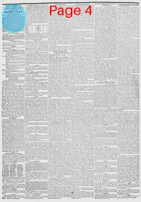 Page thumbnail for New York Daily Tribune