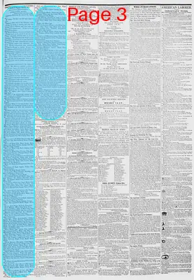 Page thumbnail for New York Daily Tribune