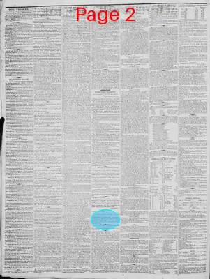 Page thumbnail for New York Daily Tribune