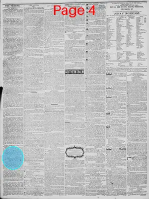 Page thumbnail for New York Daily Tribune