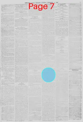 Page thumbnail for New York Daily Tribune