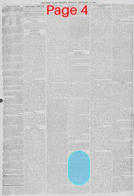 Page thumbnail for New York Daily Tribune