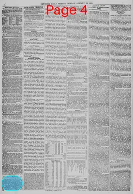 Page thumbnail for New York Daily Tribune