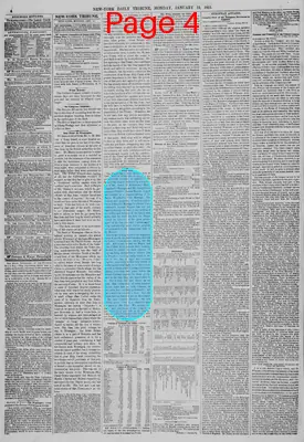 Page thumbnail for New York Daily Tribune