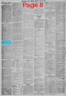 Page thumbnail for New York Daily Tribune
