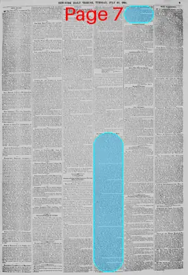 Page thumbnail for New York Daily Tribune