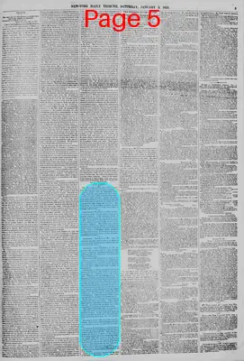 Page thumbnail for New York Daily Tribune