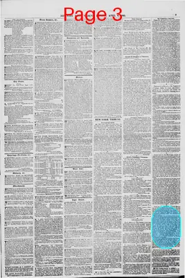 Page thumbnail for New York Daily Tribune