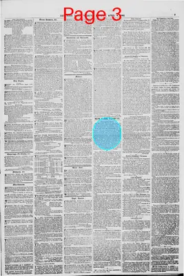 Page thumbnail for New York Daily Tribune