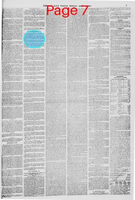 Page thumbnail for New York Daily Tribune