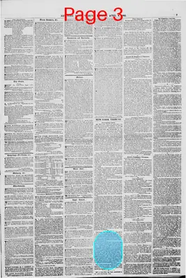 Page thumbnail for New York Daily Tribune