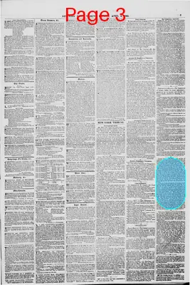 Page thumbnail for New York Daily Tribune
