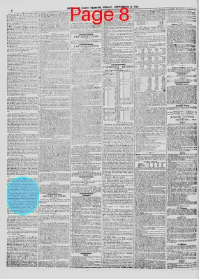 Page thumbnail for New York Daily Tribune