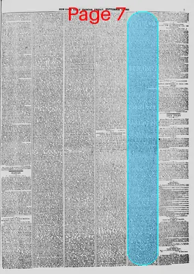 Page thumbnail for New York Daily Tribune