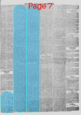 Page thumbnail for New York Daily Tribune