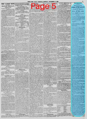 Page thumbnail for New York Daily Tribune