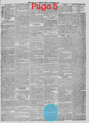 Page thumbnail for New York Daily Tribune