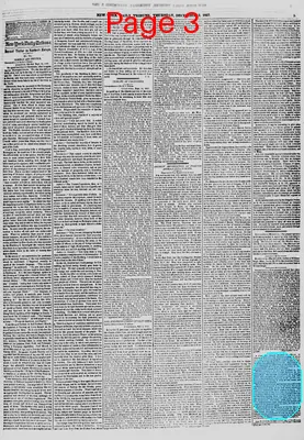 Page thumbnail for New York Daily Tribune