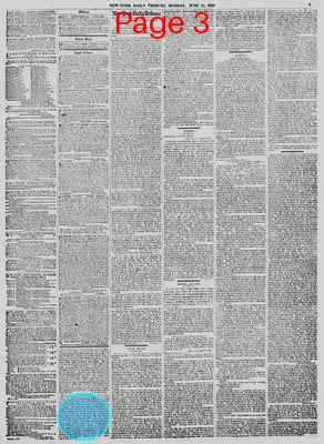 Page thumbnail for New York Daily Tribune