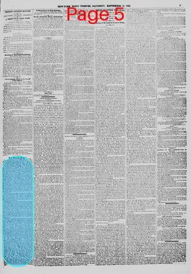 Page thumbnail for New York Daily Tribune