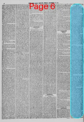 Page thumbnail for New York Daily Tribune