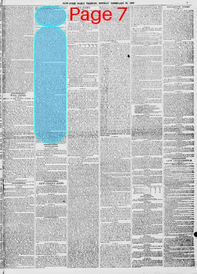 Page thumbnail for New York Daily Tribune