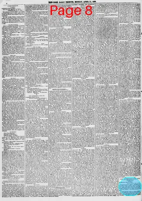 Page thumbnail for New York Daily Tribune