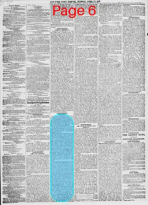 Page thumbnail for New York Daily Tribune