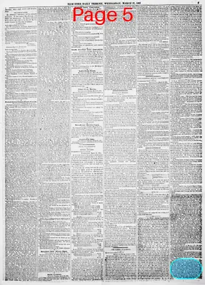Page thumbnail for New York Daily Tribune