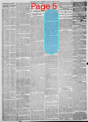 Page thumbnail for New York Daily Tribune