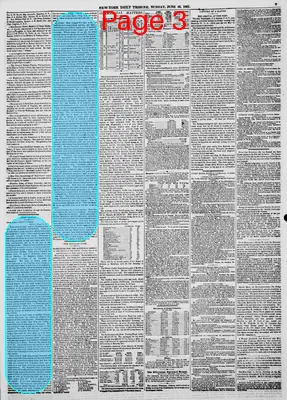 Page thumbnail for New York Daily Tribune