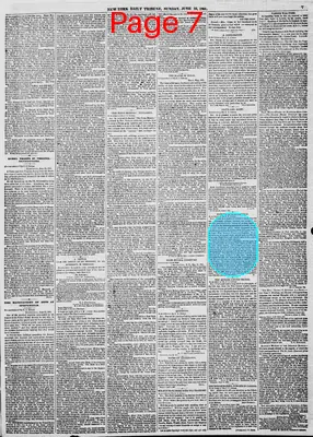 Page thumbnail for New York Daily Tribune