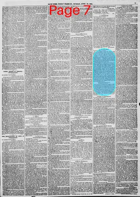 Page thumbnail for New York Daily Tribune