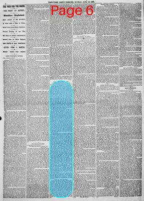 Page thumbnail for New York Daily Tribune