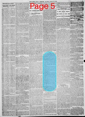 Page thumbnail for New York Daily Tribune