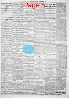 Page thumbnail for New York Daily Tribune
