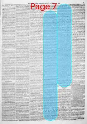 Page thumbnail for New York Daily Tribune