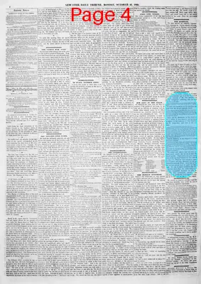 Page thumbnail for New York Daily Tribune