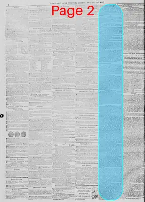 Page thumbnail for New York Daily Tribune