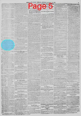 Page thumbnail for New York Daily Tribune