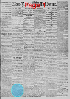 Page thumbnail for New York Daily Tribune