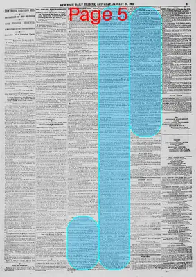 Page thumbnail for New York Daily Tribune