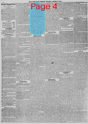 Page thumbnail for New York Daily Tribune